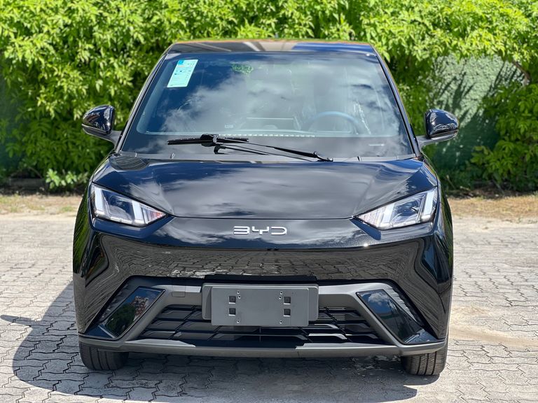 BYD Dolphin Mini (Elétrico)