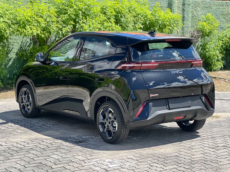 BYD Dolphin Mini (Elétrico)