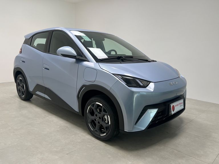 BYD Dolphin Mini (Elétrico)