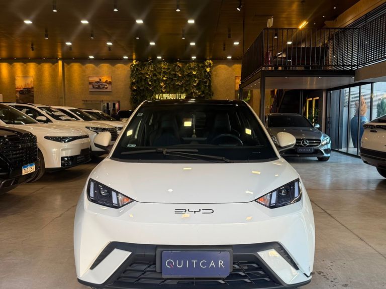 BYD Dolphin Mini (Elétrico)
