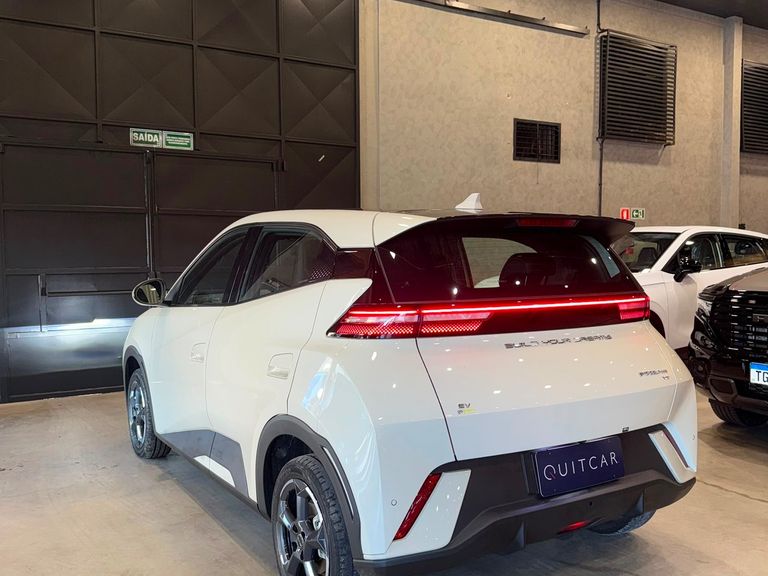 BYD Dolphin Mini (Elétrico)