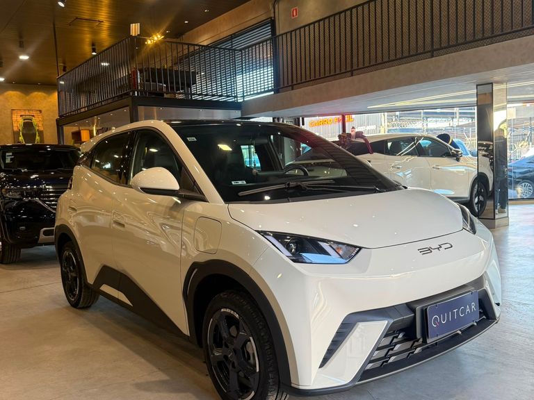 BYD Dolphin Mini (Elétrico)