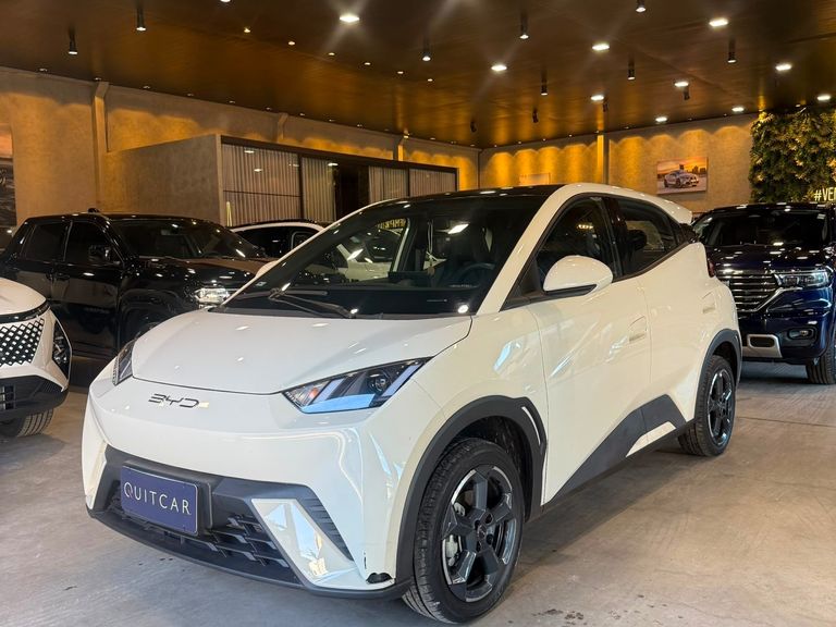 BYD Dolphin Mini (Elétrico)