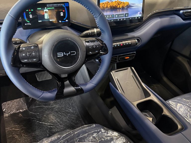 BYD Dolphin Mini (Elétrico)