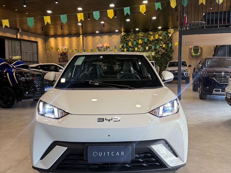 BYD Dolphin Mini (Elétrico)