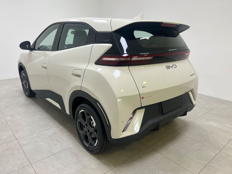BYD Dolphin Mini (Elétrico)