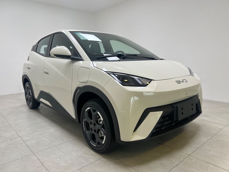 BYD Dolphin Mini (Elétrico)