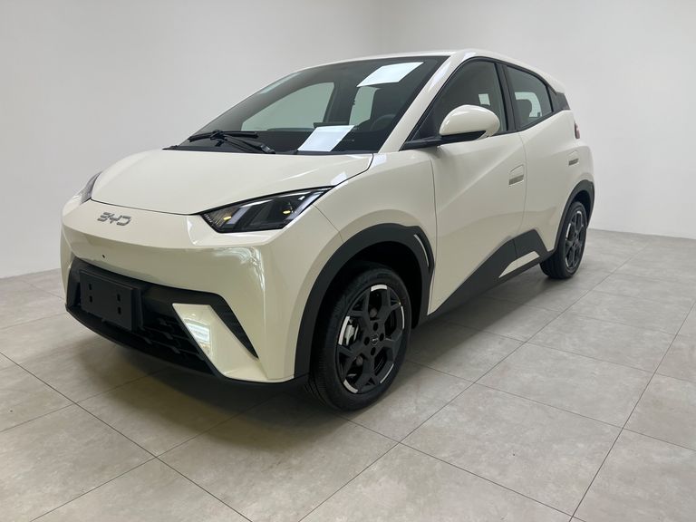 BYD Dolphin Mini (Elétrico)