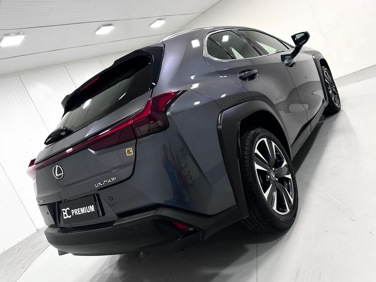 Lexus UX-250h Dynamic 2.0 16V Aut. (Híbrido)