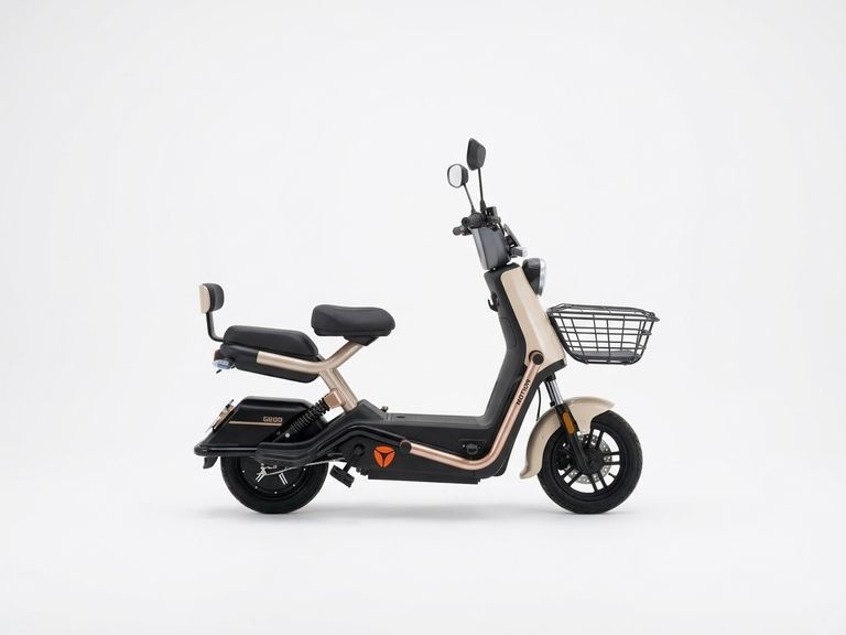 YADEA GB60 800W/48V24AH