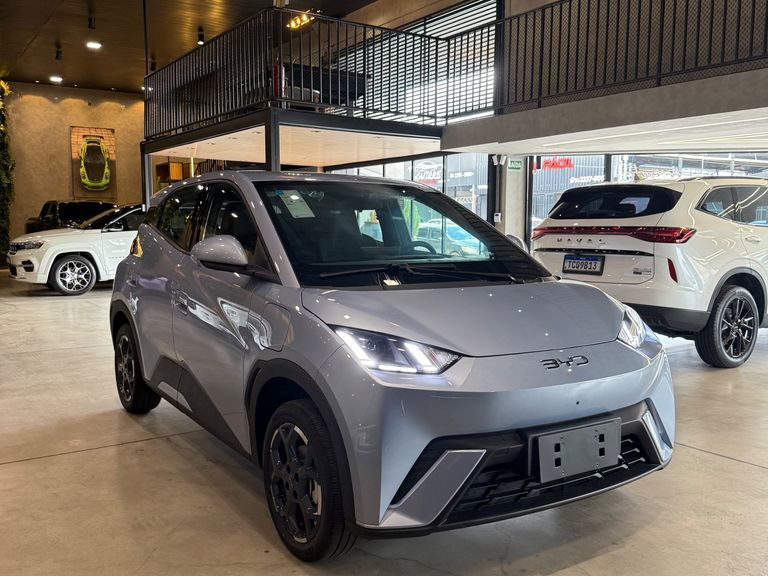 BYD Dolphin Mini GS (Elétrico)