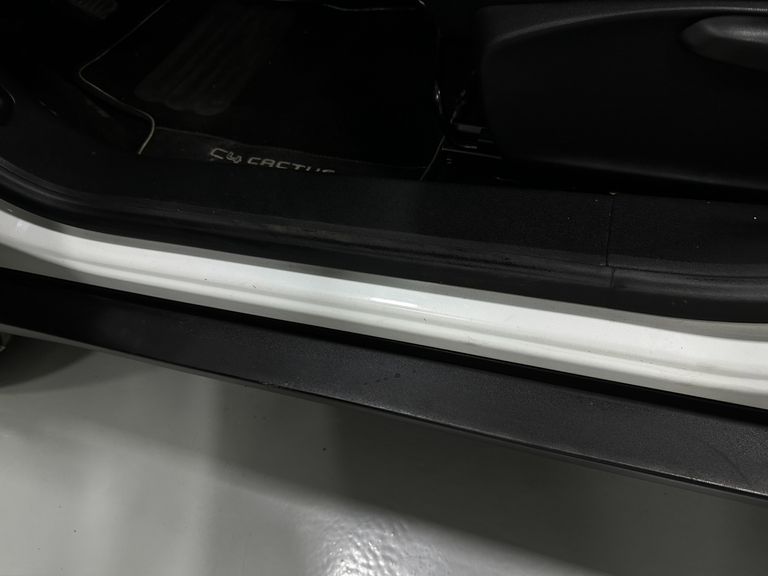 Citroën C4 CACTUS FEEL 1.6 16V Flex Mec.