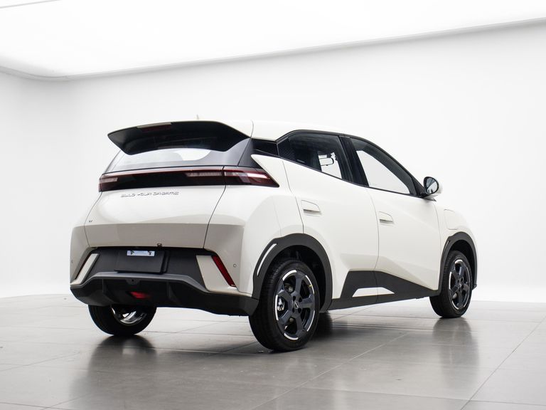 BYD Mini Dolphin