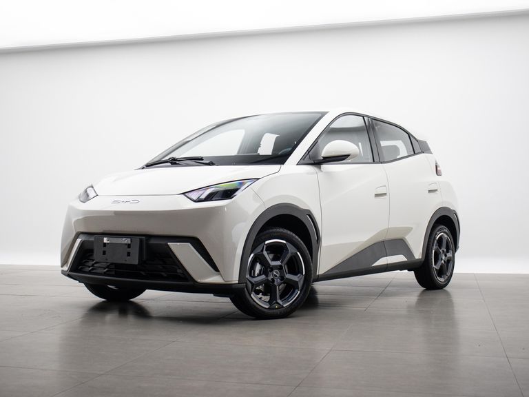 BYD Mini Dolphin