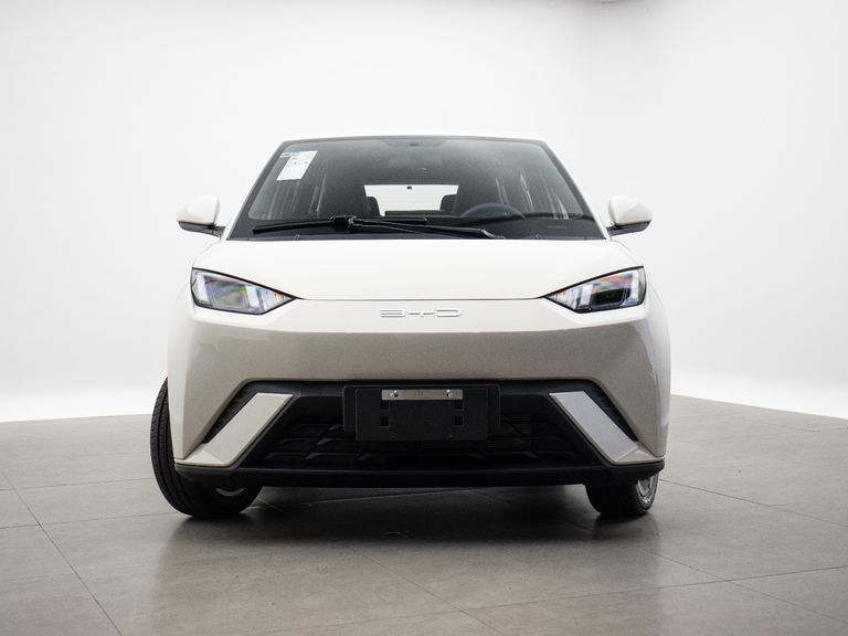BYD Mini Dolphin