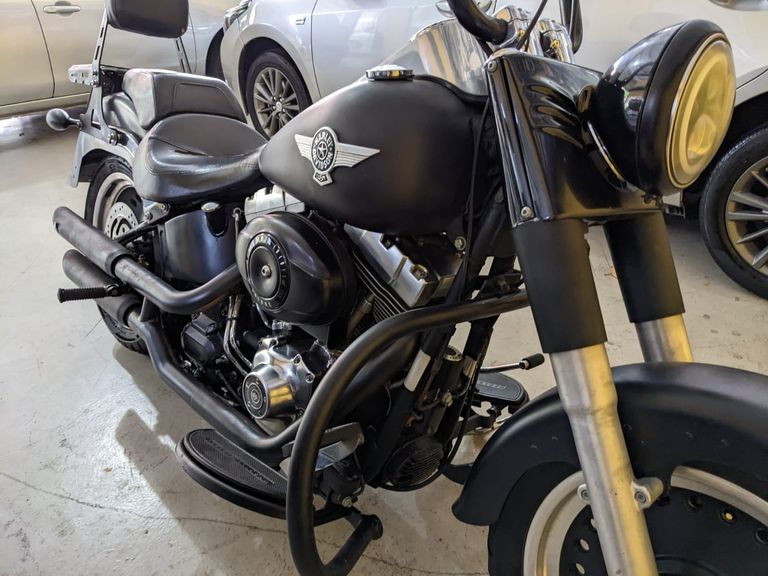 Harley FAT BOY LOW/ SPECIAL FLSTFB