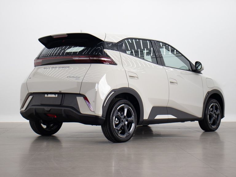 BYD Dolphin Mini (Elétrico)