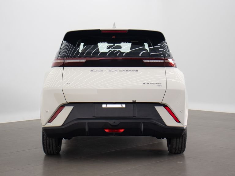 BYD Dolphin Mini (Elétrico)