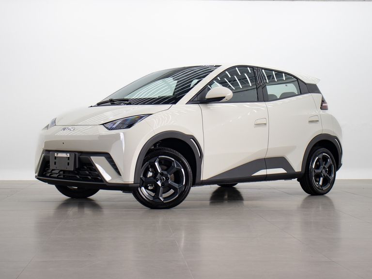 BYD Dolphin Mini (Elétrico)