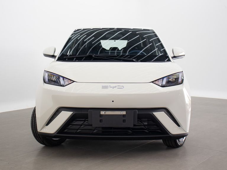 BYD Dolphin Mini (Elétrico)