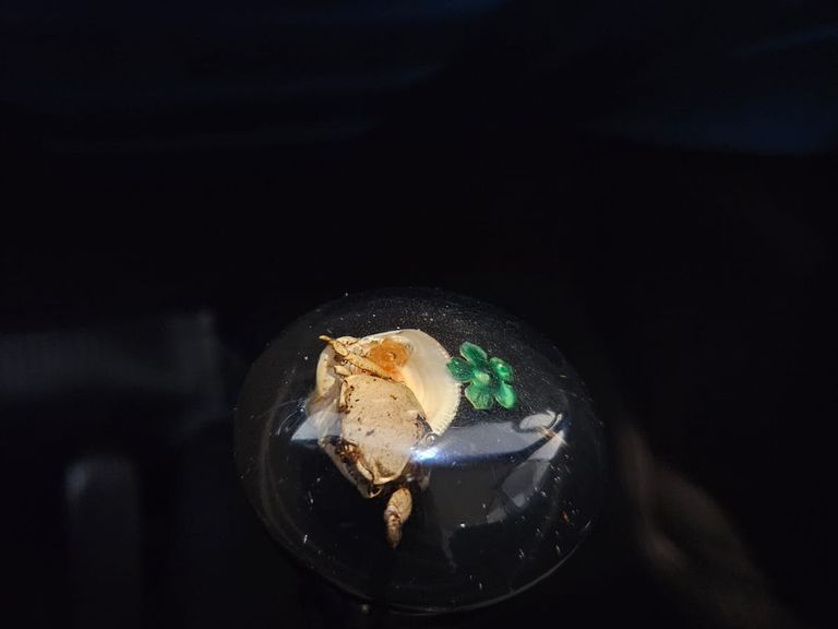 VolksWagen FUSCA 1300 GASOLINA 2P MANUAL