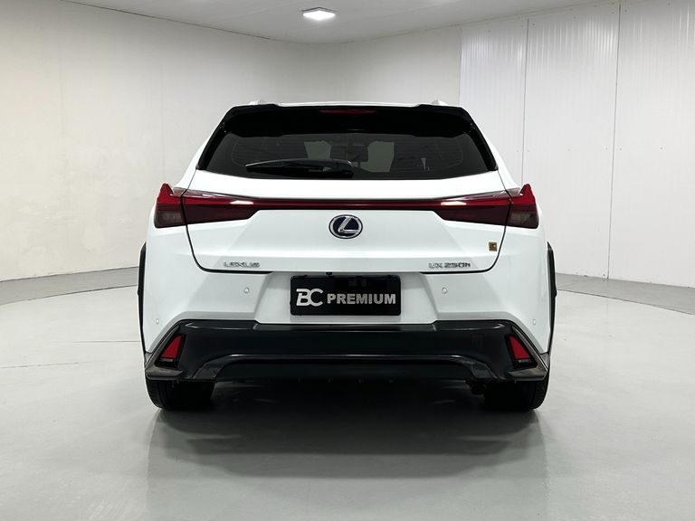 Lexus UX-250h F-Sport 2.0 16V Aut. (Híbrido)