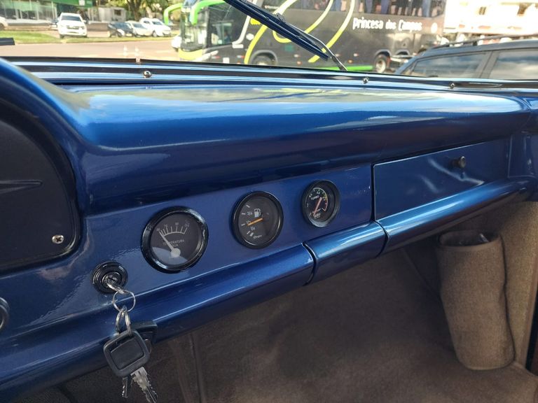 Ford F100