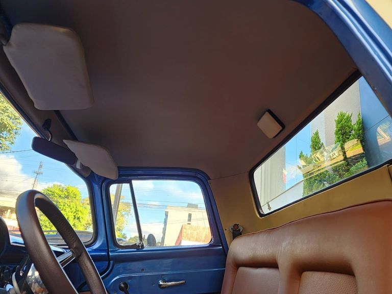 Ford F100