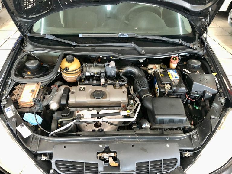 Peugeot 206 Presence 1.4/ 1.4 Flex 8V 5p