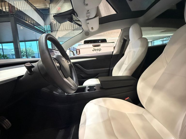Tesla Model 3 Performa