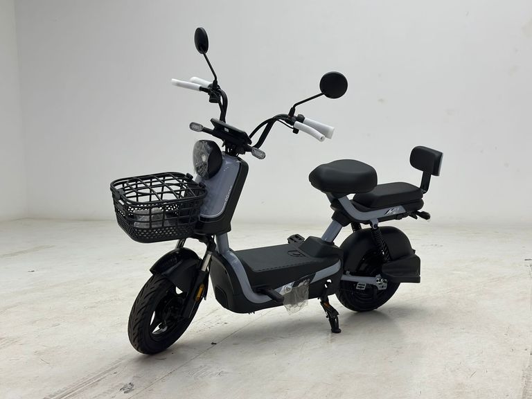 Panda SCOOTER ELÉTRICA PANDA J10 - 800W