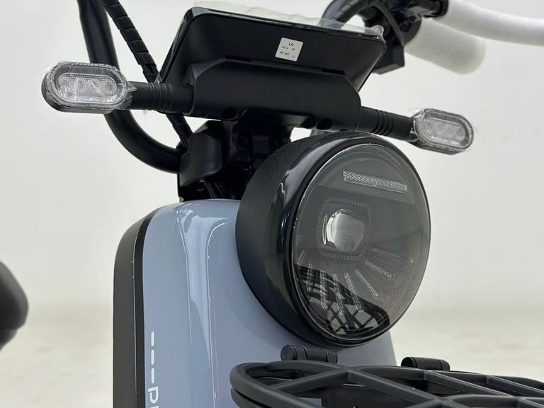 Panda SCOOTER ELÉTRICA PANDA J10 - 800W
