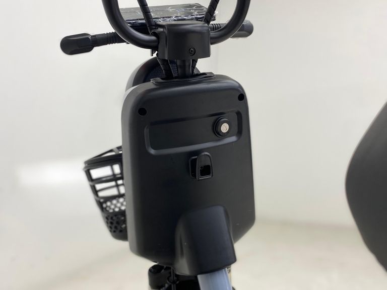 Panda SCOOTER ELÉTRICA PANDA J10 - 800W