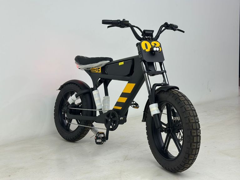 Panda SCOOTER ELÉTRICA PANDA FT 03 - 1000W