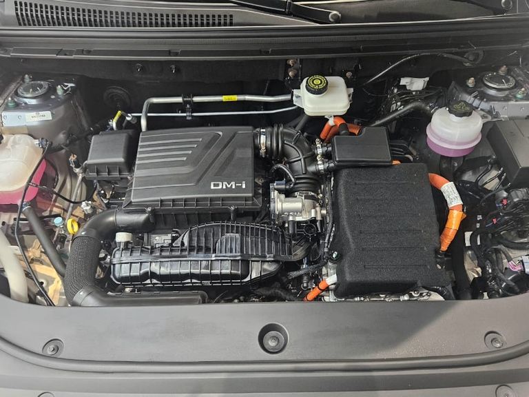 BYD Song Pro GS 1.5 16V Aut. (Hibrido)