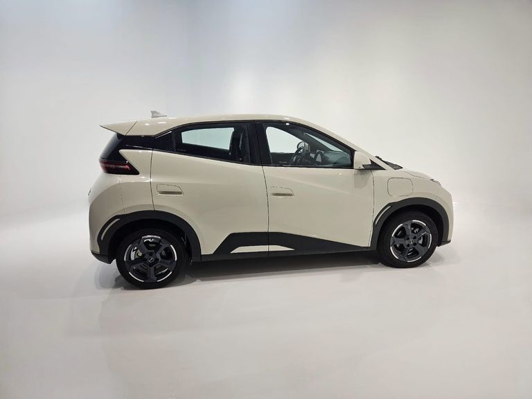 BYD Dolphin Mini (Elétrico)