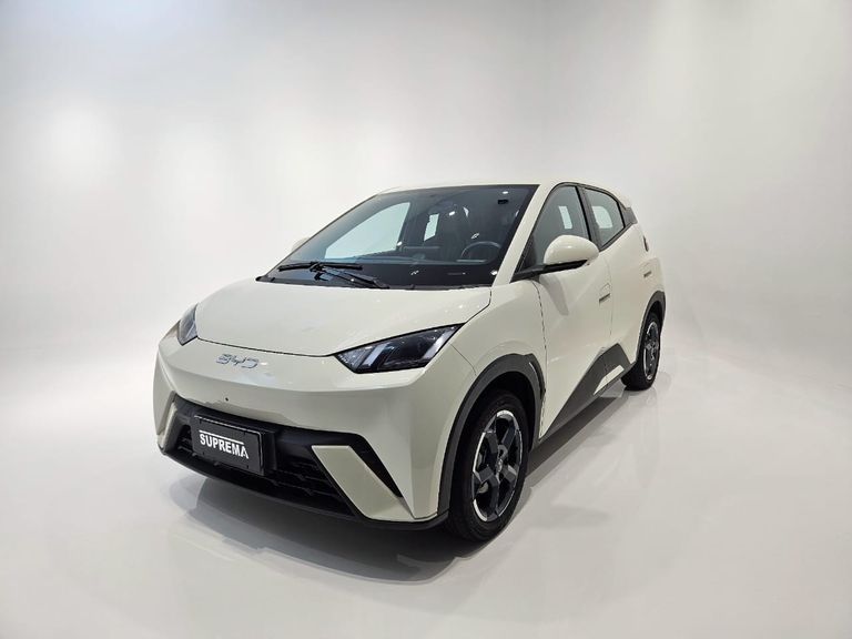 BYD Dolphin Mini (Elétrico)