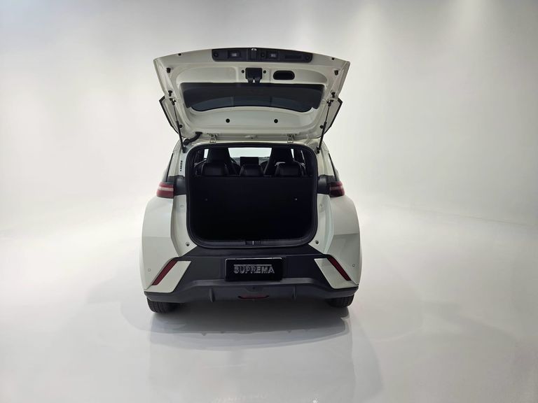 BYD Dolphin Mini (Elétrico)