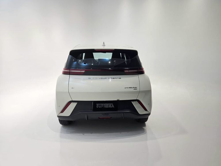 BYD Dolphin Mini (Elétrico)