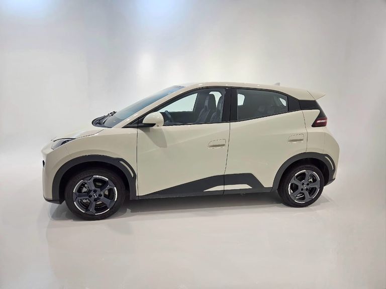 BYD Dolphin Mini (Elétrico)