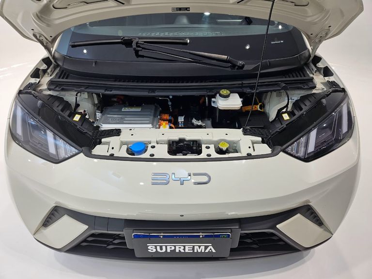 BYD Dolphin Mini (Elétrico)