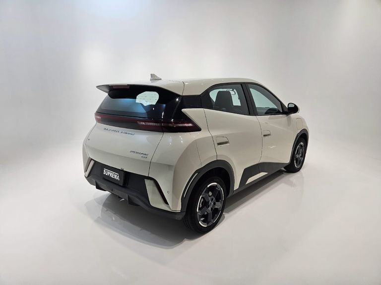 BYD Dolphin Mini (Elétrico)