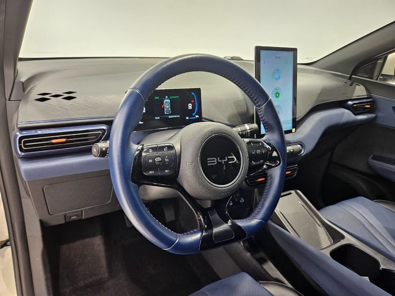 BYD Dolphin Mini (Elétrico)