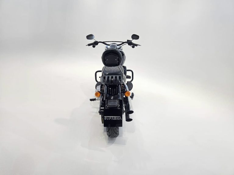 Harley SOFTAIL SLIM FLSL