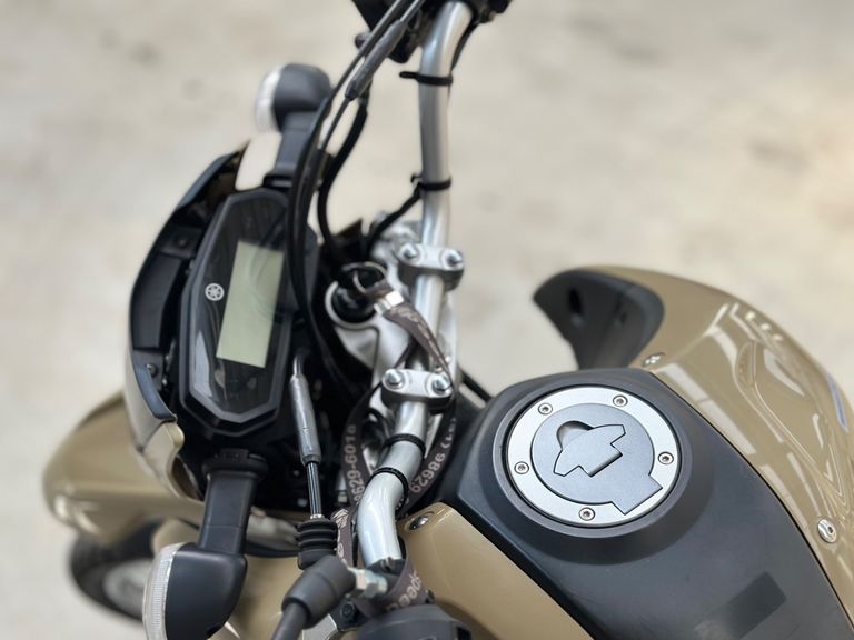 YAMAHA XTZ 250 LANDER 249cc/LANDER BLUEFLEX/ABS