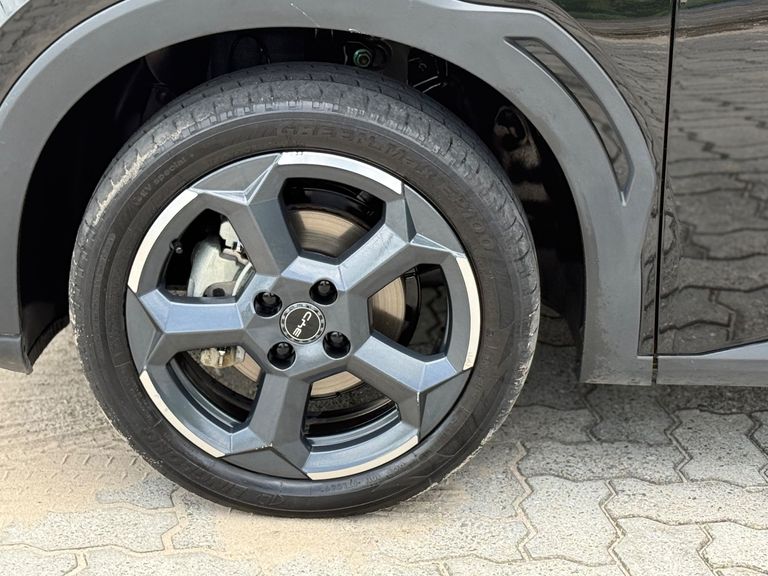 BYD Dolphin Mini (Elétrico)