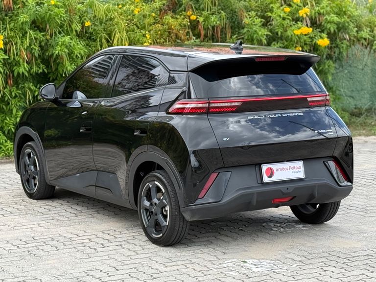 BYD Dolphin Mini (Elétrico)