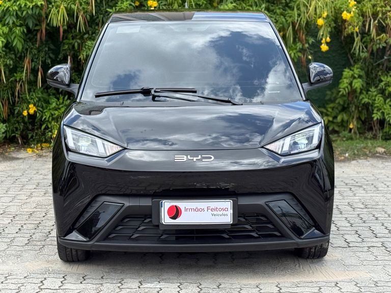 BYD Dolphin Mini (Elétrico)