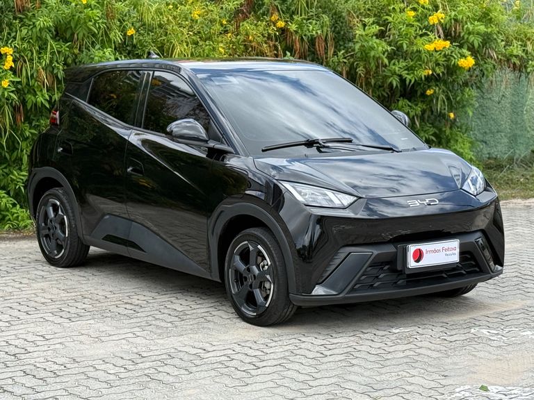 BYD Dolphin Mini (Elétrico)