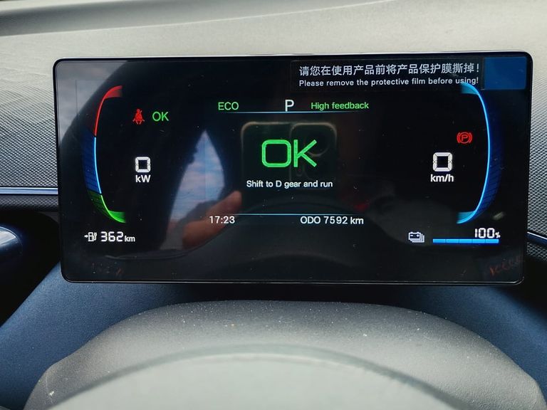 BYD Dolphin Mini (Elétrico)